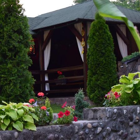 Casa De Vacanta Silvia Varmaga Экстерьер фото