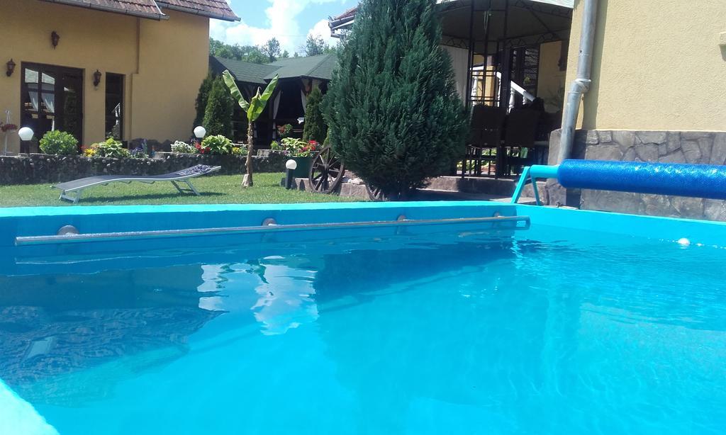 Casa De Vacanta Silvia Varmaga Экстерьер фото