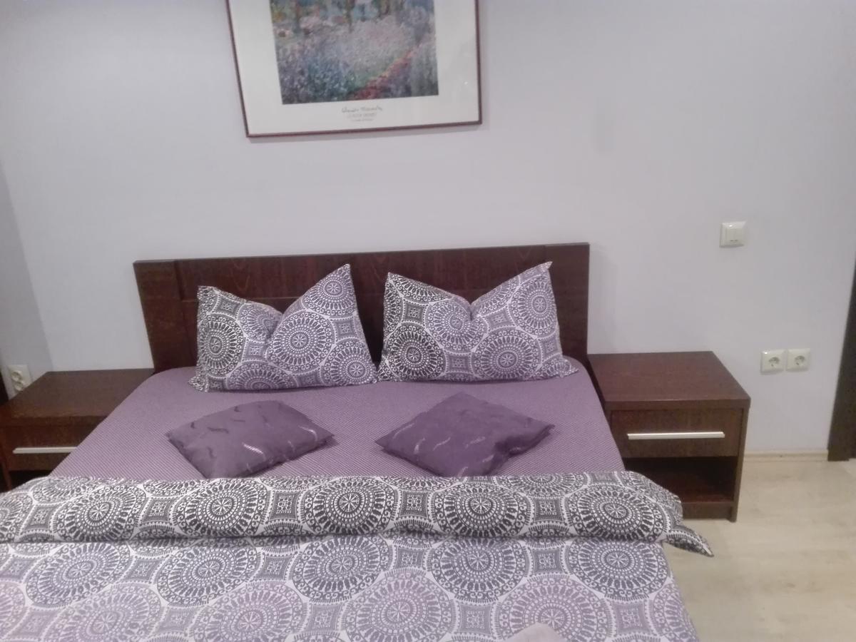 Casa De Vacanta Silvia Varmaga Номер фото
