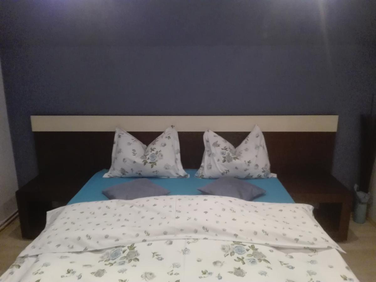 Casa De Vacanta Silvia Varmaga Номер фото