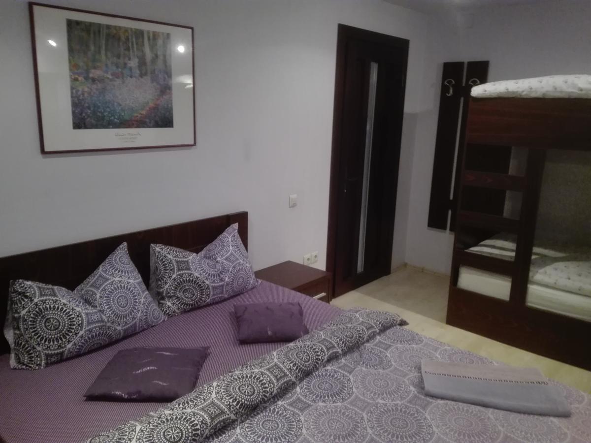 Casa De Vacanta Silvia Varmaga Номер фото