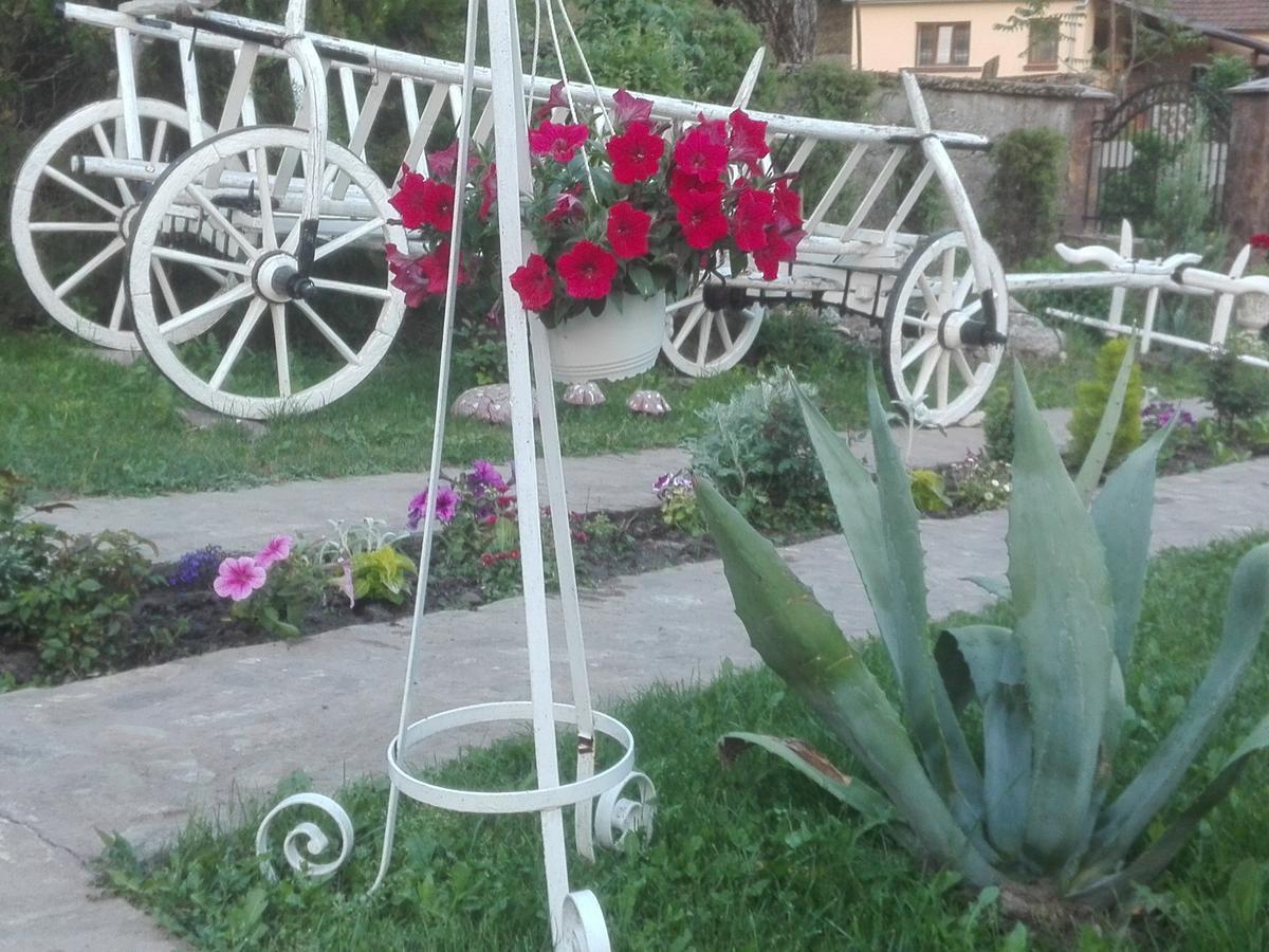 Casa De Vacanta Silvia Varmaga Экстерьер фото