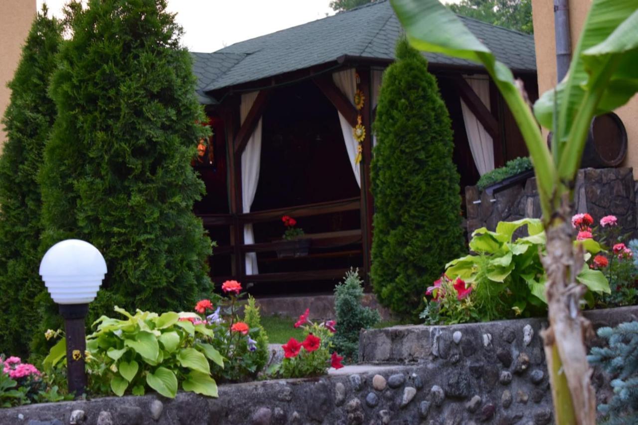 Casa De Vacanta Silvia Varmaga Экстерьер фото