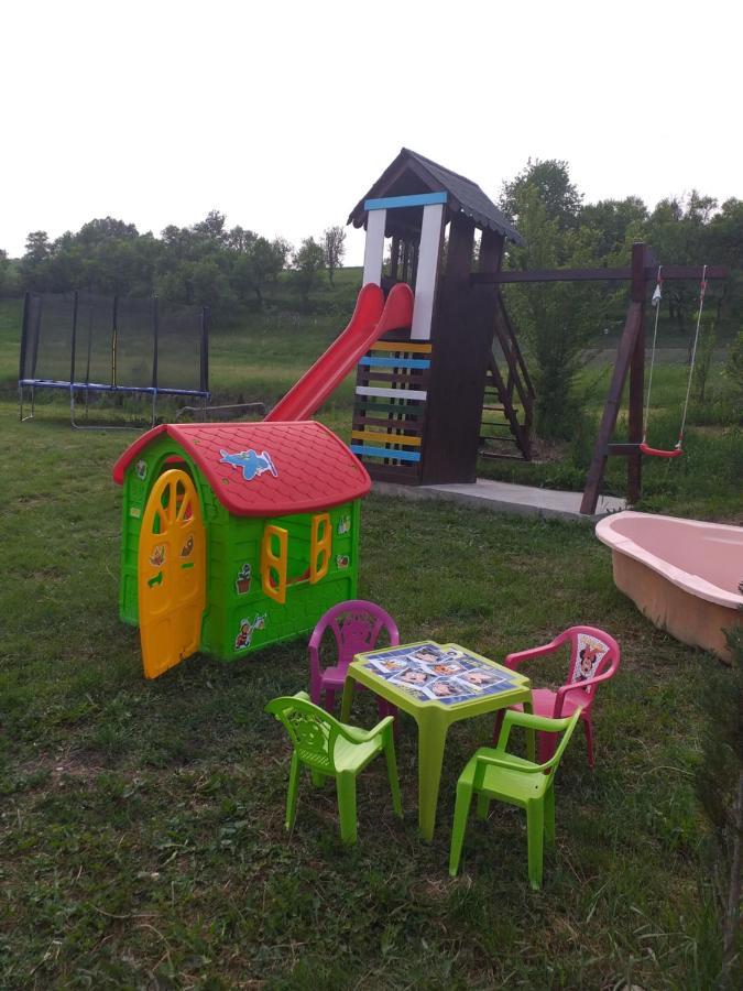Casa De Vacanta Silvia Varmaga Экстерьер фото